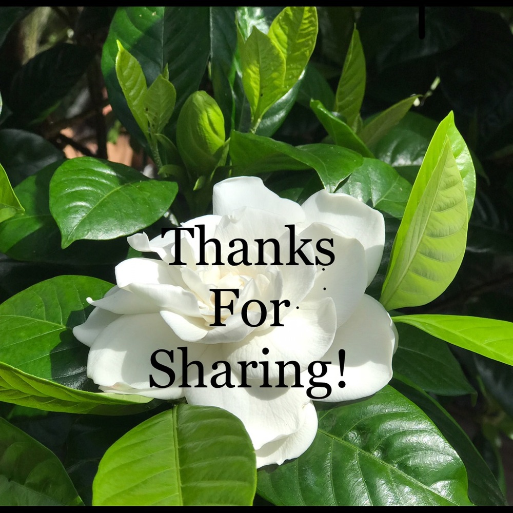 Thanks for sharing!